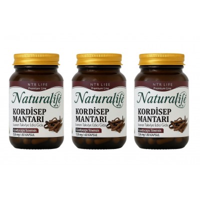 NTR Cordyceps Sinensis 3 lü KAMPANYA